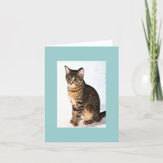 女の子らし カード