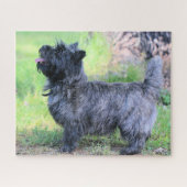 女の子を表示 ジグソーパズル (横)