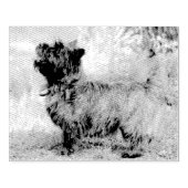 女の子を表示 ラバースタンプ (インプリント)