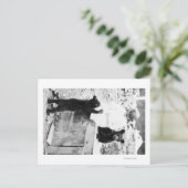 女の子遊とベアーカブのシワード ポストカード (スタンド正面)