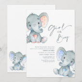 女の子？それとも男の子？ 象の性別発表招待状 招待状 (正面/裏面)