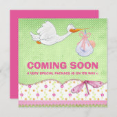 女の赤ちゃんの鳥配達妊娠の発表 案内状 (正面/裏面)