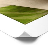 女ビクトリアン性、長い髪の毛の泡立ち ポスター (角)