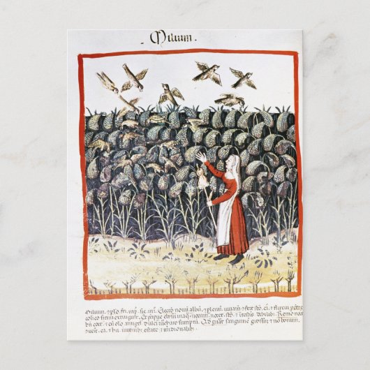 女保護のミレー ポストカード (正面)