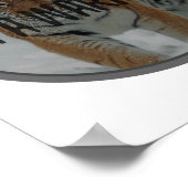 女前向き性と男性の主張 ポスター (角)