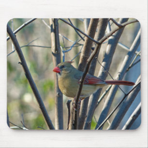 女子かわいらし(鳥)ショウジョウコウカンチョウ マウスパッド