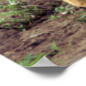 女子ナイラヘルウェ・ウンフロジゲームリザーブ ポスター (角)