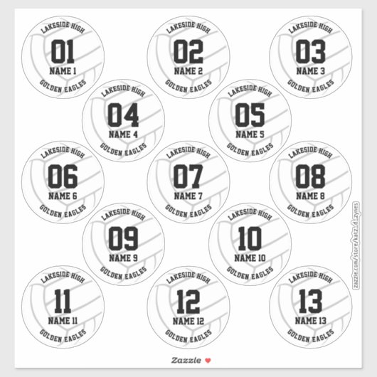 女子ボーイズバレーボールチーム13人 シール (シート)