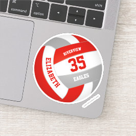 女子ボーイズレッドグレーチームカラーバレーボール シール