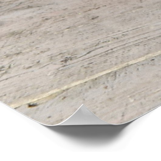 女子校生ポスター ポスター (角)