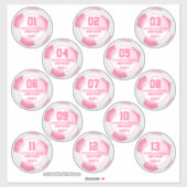 女子13人のピンクサッカークラブチームのスピリットのセット シール (シート)