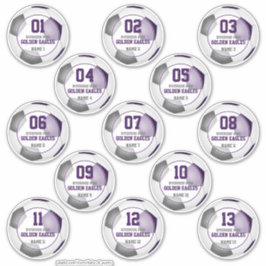 女子13人の男子パープルグレイのサッカーチームのセット シール