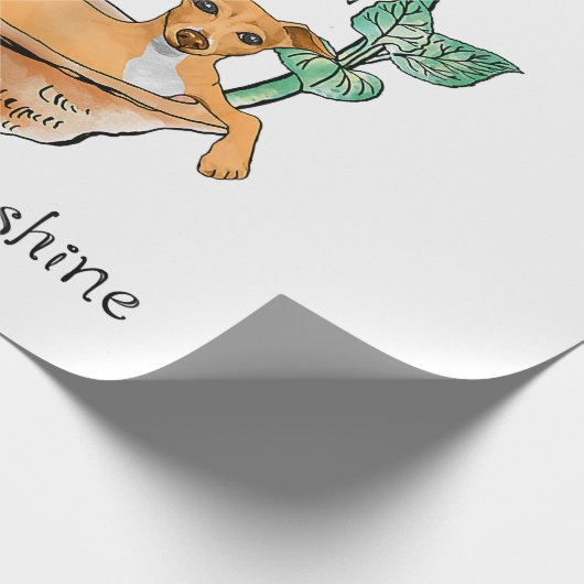 女性あなたは私のサンシャイングレイハウンドイタリアンング ラッピングペーパー (角)