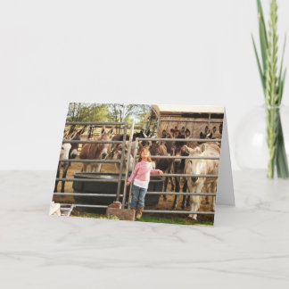 女性おもしろいDVM大学院西部おめでとう カード