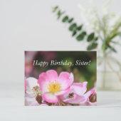 女性かわいらし向けピンクの野生バラ花 ポストカード (スタンド正面)