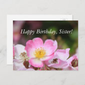 女性かわいらし向けピンクの野生バラ花 ポストカード (正面/裏面)