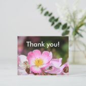 女性かわいらし向けピンクの野生バラ花 ポストカード (スタンド正面)