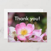 女性かわいらし向けピンクの野生バラ花 ポストカード (正面/裏面)