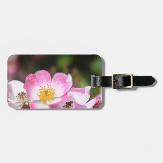 女性かわいらし向けピンクの野生バラ花 ラゲッジタグ (正面横)