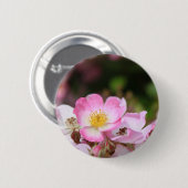 女性かわいらし向けピンクの野生バラ花 缶バッジ (正面&裏面)