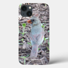 女性かわいらし（鳥）ショウジョウコウカンチョウ携帯電話ケース iPhone 13ケース
