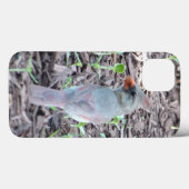 女性かわいらし（鳥）ショウジョウコウカンチョウ携帯電話ケース Case-Mate iPhoneケース (裏面 (横))