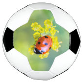 女性が上 サッカーボール (回転)
