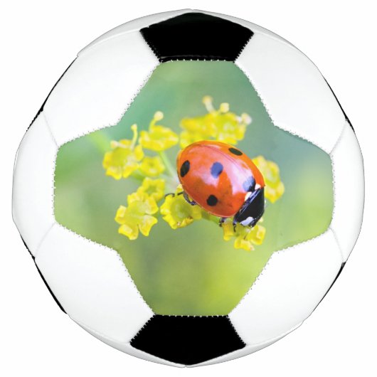 女性が上 サッカーボール (正面)