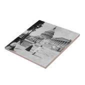 女性が付いている国会議事堂の建物の外面 タイル (側面)