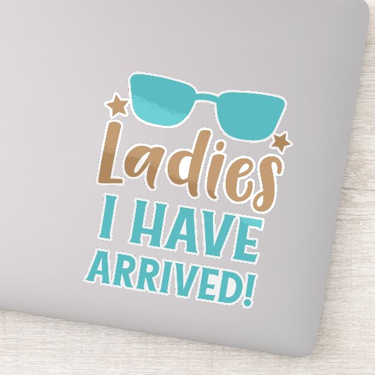 女性が到着した、サングラス、星 シール (詳細)