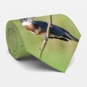 女性が手足を出してカワセミをベルトで縛った ネクタイ (ロール)