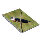 女性が手足を出してカワセミをベルトで縛った ノートブック (右側)