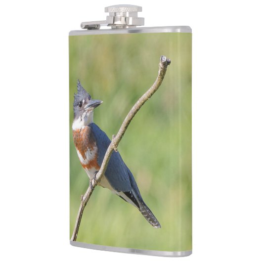 女性が手足を出してカワセミをベルトで縛った フラスク (左)