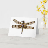 女性によってバンドを付けられる長旗のトンボ カード (黄色い花)