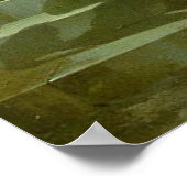 女性にオウムを差し出す荒野 ポスター (角)