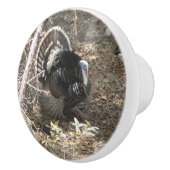 女性のためにもったいぶって歩く野生のトルコ セラミックノブ (右)