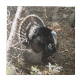 女性のためにもったいぶって歩く野生のトルコ タイル (正面)