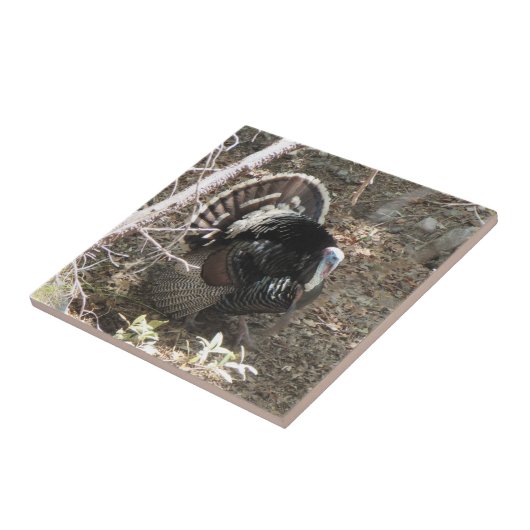 女性のためにもったいぶって歩く野生のトルコ タイル (側面)