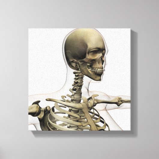 女性のイラストレーションの医学的スカルと キャンバスプリント (正面)