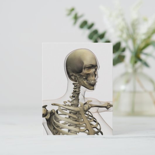 女性のイラストレーションの医学的スカルと ポストカード (スタンド正面)