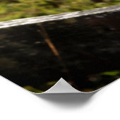 女性のカーボーイランチのポスター ポスター (角)