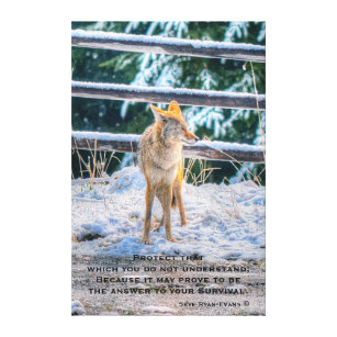 女性のコヨーテと雪の野生動物の写真と詩 キャンバスプリント