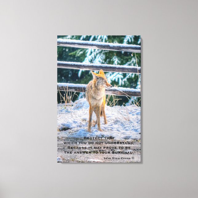 女性のコヨーテと雪の野生動物の写真と詩 キャンバスプリント (Front)
