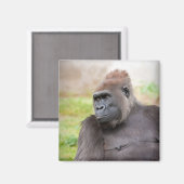 女性のゴリラ マグネット (正面/裏面)