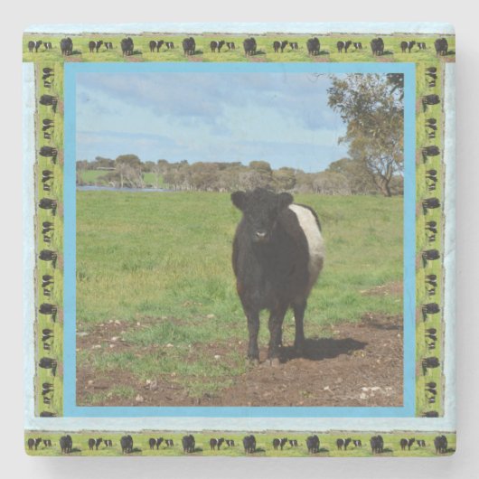 女性のベルト付きのガロウェイ牛 ストーンコースター (正面)