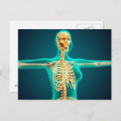 女性の上半身のX線画像。肋骨格がわかる ポストカード (正面/裏面)
