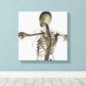 女性の上背部の3次元ビュー キャンバスプリント (インサイチュ (ウッドフロア))