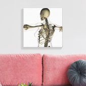 女性の上背部の3次元ビュー キャンバスプリント (インサイチュ (リビング))