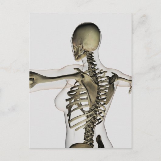 女性の上背部の3次元ビュー ポストカード (正面)