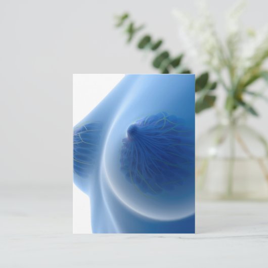 女性の乳房の解剖学的構造のX線画像 ポストカード (スタンド正面)